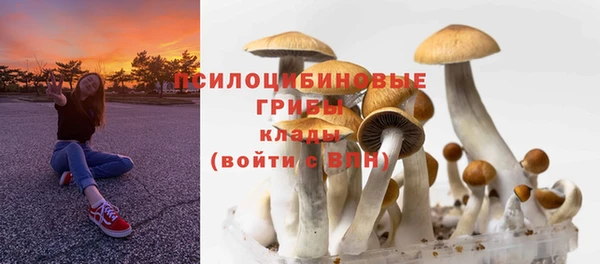 мдпв Чегем
